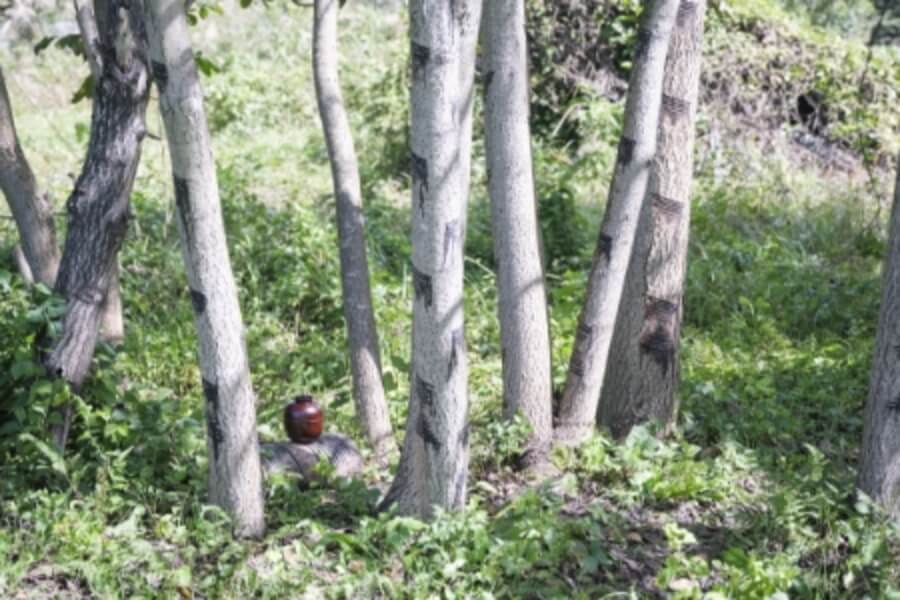 2024年度受賞作品